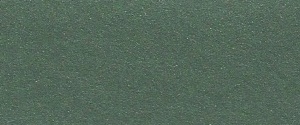 1964 Studebaker Horizon Green Poly